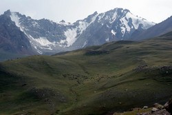  144<br>    .