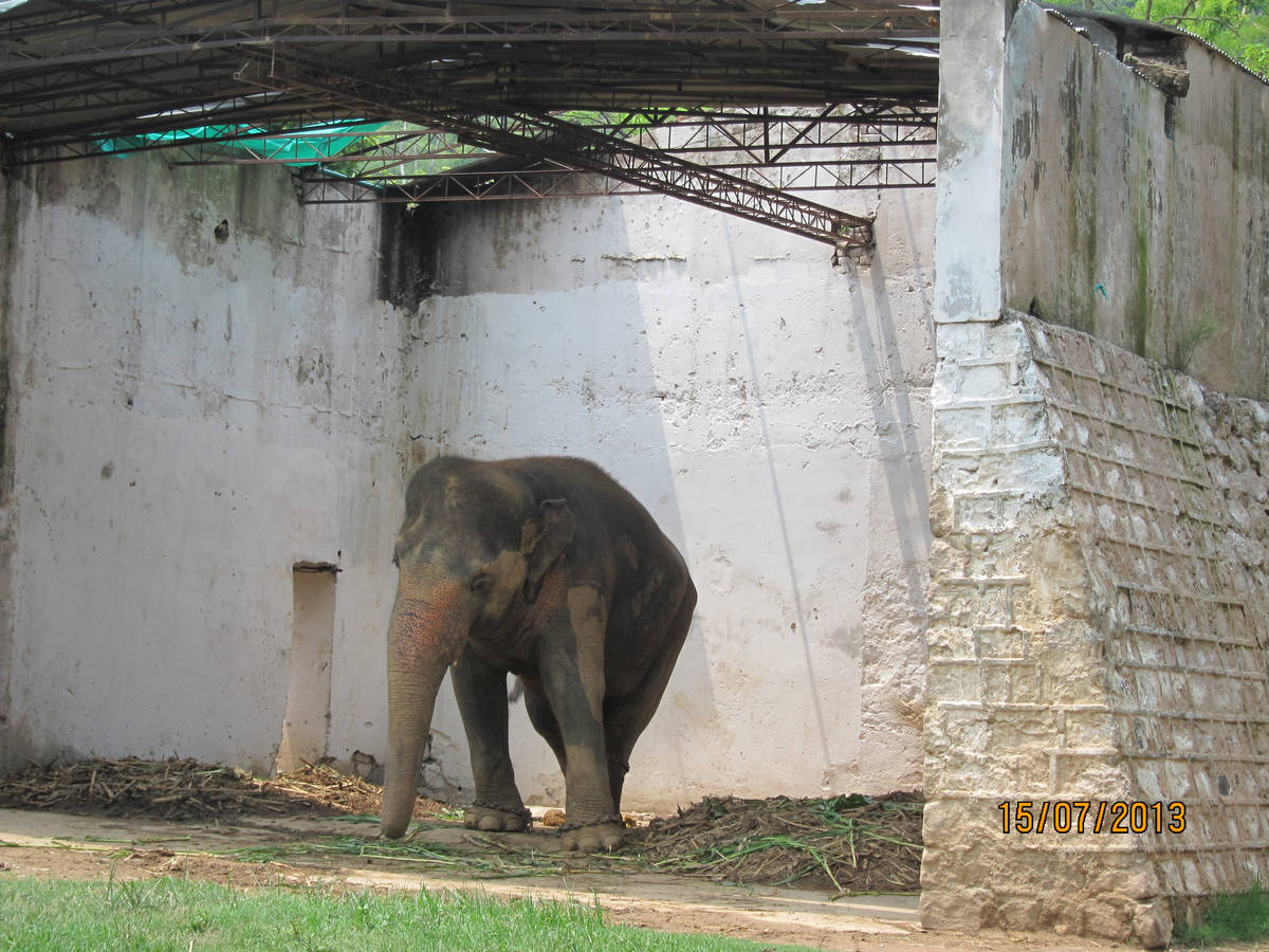  (Islamabad).<br> Marghazar Zoo.<br>.