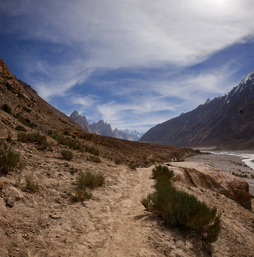        (Paiju).<br>    (Baltoro Glacier)  .