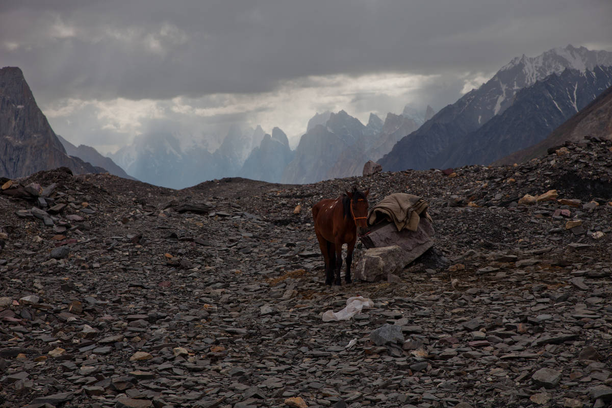   (Concordia)     (Baltoro Glacier).<br>.