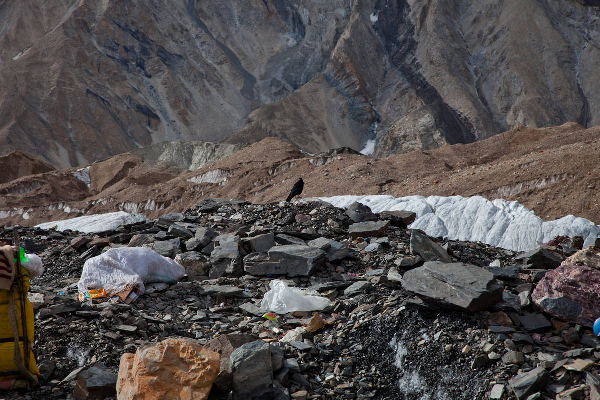        (Concordia)     (Baltoro Glacier).<br>  .