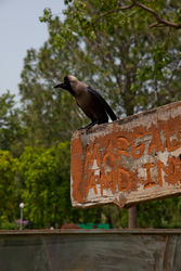  (Islamabad).<br> Marghazar Zoo.<br>-  .