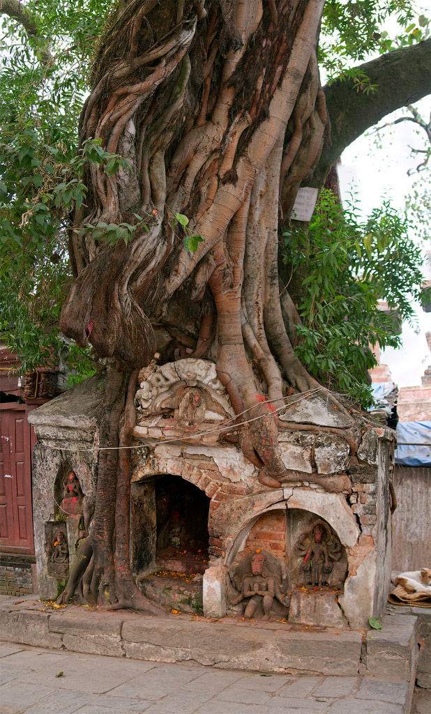    (Kathmandu Durbar Square).     .