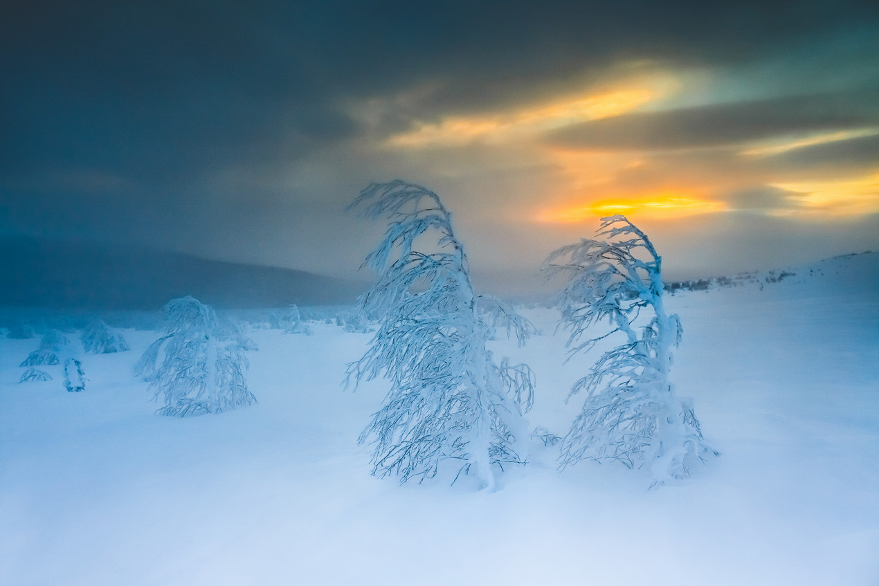 клуб ветер пермь